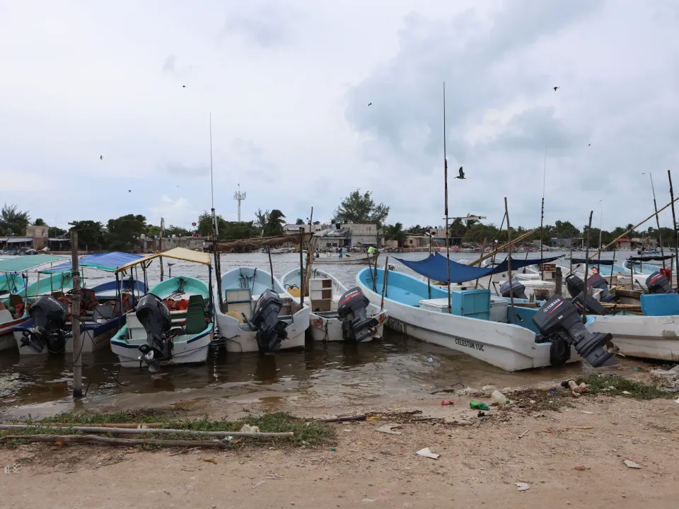 Editorial photograph illustrating Yucatán pledges zero new pig-farm permits after water pollution report
