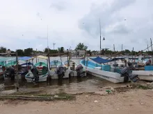 Editorial photograph illustrating Yucatán pledges zero new pig-farm permits after water pollution report