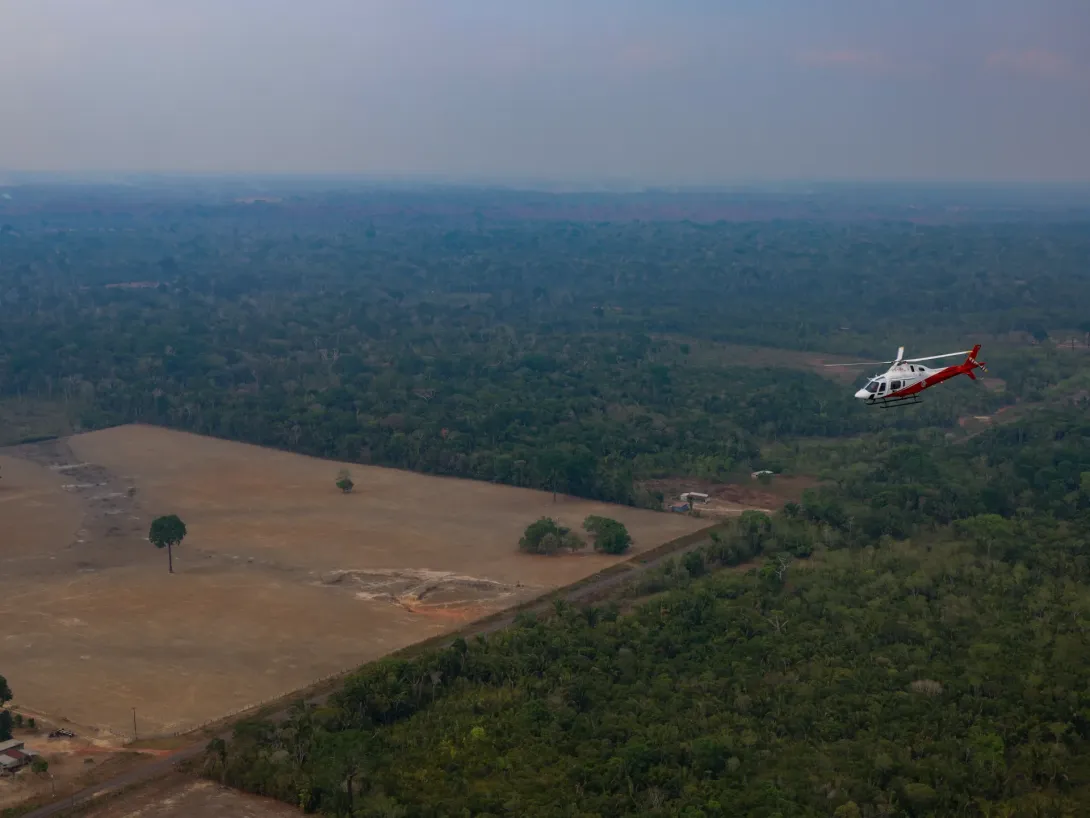 Editorial photograph illustrating Brazil’s Amazon Deforestation Hits Record Low Ahead of Run‑off